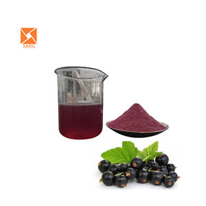 Semprotan larut air murni bubuk jus konsentrat Berry Maqui kering - Product Image 1