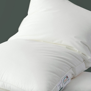 Vuông Hình Chữ Nhật Xuống Gối Xuống Bằng Chứng Vải Cứu Trợ Áp Lực Tự Nhiên Mềm Ngỗng Vịt Lông Xuống Gối - Product Image 4