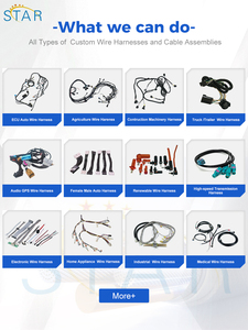 Konektor Betina 2P Perakitan Kabel Otomotif Industri Kabel Harness Otomotif - Product Image 5