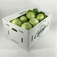 Boîte à choux en plastique ondulé PP personnalisée, de qualité alimentaire, imperméable, recyclable, ventilée, pour l'emballage des produits frais, légumes
