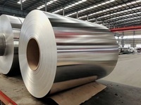 Polvo Concentrado Limpiador de Bobinas de Aire Acondicionado con Fórmula Segura para Aluminio