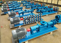 Pompe à vis excentrique en acier inoxydable G40-1 3kw Stator Rotor Pompe à vis auto-amorçante horizontale avec trémie