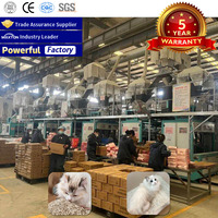 Ligne de production de litière pour chats en Arabie Saoudite, 5-10T/H, sans poussière, haute absorption d'eau, garantie 5 ans