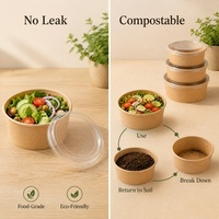 Bol en papier kraft biodégradable, bols en papier jetables en gros - Personnalisation du logo disponible