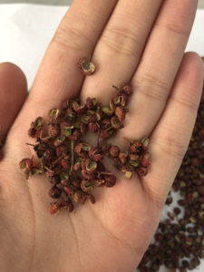 Chất lượng cao khô đỏ tinh khiết tự nhiên rhetsa Hữu Cơ Tứ Xuyên Tiêu zanthoxylum bungeanum chiết xuất - Product Image 2