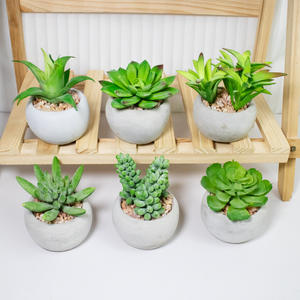 Nouveaux pots à succulentes en céramique plastique artificielle, décoration de bureau mignonne et réaliste, pots à succulentes uniques - Product Image 1