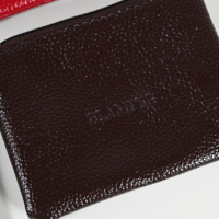 Glampkg dompet tempat kartu Mini portabel, dompet PU bentuk persegi panjang dengan penutup ritsleting untuk kartu akses ID & Kosmetik