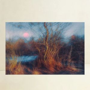 Autumn Tree Landscape <b>Canvas</b> Print Rectangle Contemporary Wall Art No <b>Frame</b> Scenic Design Handmade Medium Size - Product Image 1