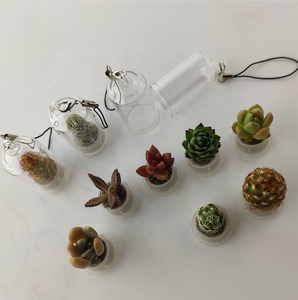 Portachiavi a Forma di Pianta Succulenta Imitazione Baby Alive, Cactus <span class=keywords><strong>Cellulare</strong></span>, Animale Domestico in Miniatura - Product Image 3