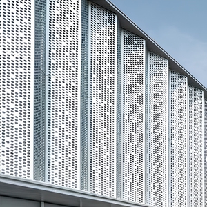 Panneau de mur rideau en aluminium de style européen avec motif géométrique en treillis, anti-corrosion, revêtement en poudre, personnalisé - Product Image 5