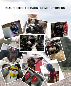 工場カスタムバイヤーのロゴ/グラフィックデザインミニオートバイヘルメットペットミニチュアヘルメットアクリルディスプレイボックス付き - Product Image 6