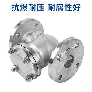 Senfm <b>Swing</b> Check Valve Dn50 80 150 304 Stainless Steel Flange Connection For Water - Product Image 2