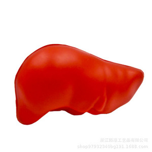 Pu <b>Foam</b> Liver Fidget Toy High Rebound Stress Relief Unisex 14 Years Up <b>Craft</b> Decor - Product Image 1
