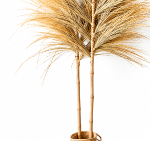 Relleno Decorativo para Jarrones, Hecho a Mano, Ecológico, de Hierba Seca Natural Rayung, Estilo Pampas, para Decoración de Bodas, Fiestas y Hogar - Product Image 5