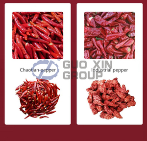 CE Approved Vegetable Chili Dehydartion Mesh Belt Dryer Machine Chili Pepper <b>Drying</b> <b>Equipment</b> - Product Image 3