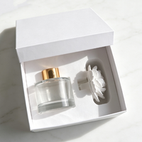 Diffuseur d'huiles essentielles en plâtre parfumé pour la maison, avec bouteille en verre de 100 ml et fleur en céramique, pour parfumer l'air