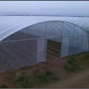 8x30m agricoltura pomodoro serre cornici Film plastico Tunnel a campata singola serre