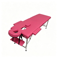 Table de massage portable confortable à 2 sections, pieds en acier inoxydable, lit de spa pliable avec accoudoirs