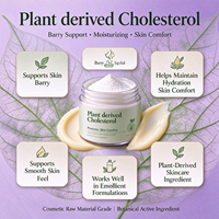 Poudre de cholestrol dérivée de plantes, matière première cosmétique à 98 % pour la fabrication de crèmes, lotions et sérums conditionnant la peau