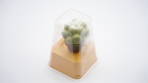 Crème glacée en forme de succulente, saveur fruitée, nouvelle arrivée, certifiée Halal, durée de conservation de 18 mois, en boîte – Meilleure vente - Product Image 5