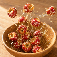 Premium FD Gefreeze-droogde Hawthorn Bessen Natuurlijke Zoete Fruitsnack Groothandel OEM Private Label