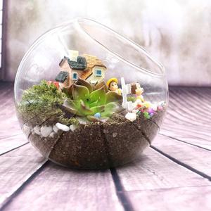 Home Decorative Handblown Big Mouth Clear Glass Air Plant Glass Bowl Terrarium - Product Image 2