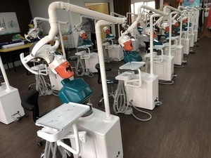 Phantom testa per gli studenti dentali dentale <span class=keywords><strong>unit</strong></span>à di simulazione - Product Image 3