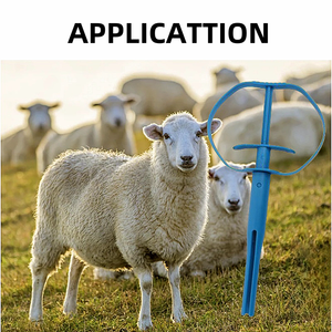 Cattle Goat <strong>CIDR</strong> Inserts Applicator Roll Blue Livestock Plastic Durable 24.5cm for Cattle Estrus - Product Image 6