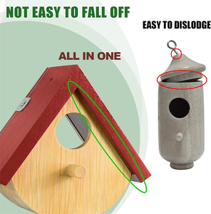 Casa de colibrí Vista de ventana <span class=keywords><strong>Casas</strong></span> de pájaros de madera para anidar Casa de pollo colgante para interior y exterior - Product Image 6
