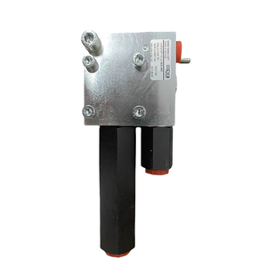 Válvula hidráulica Válvula de equilibrio de retención de carga Válvula de equilibrio <span class=keywords><strong>440</strong></span>/Válvula de equilibrio LHDV33P LHDV Venta caliente - Product Image 6