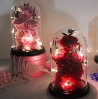 Nouvelles roses éternelles en verre sous cloche pour décoration de mariage, de maison et cadeau de la Saint-Valentin et de la fête des Mères