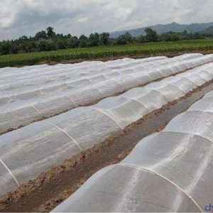 100% HDPE + UV Chống Lão Hóa Màu Xanh Lá Cây Bảo Vệ Môi Trường Nhựa Rào Cản Net Nông Nghiệp Trồng Fly Côn Trùng - Product Image 3