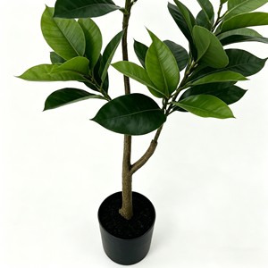 Bonsai Rubber <b>Tree</b> Indoor Landscape Decoration Simulation Plant Decoration Simulation Leaves - Product Image 6