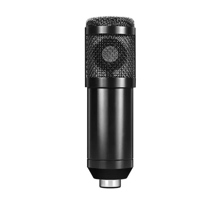 New Noise Professional Condenser Microfone Sem Fio Microfonos Para Camaras Dslr Paging Retro Violin Microphone Professionnel Mic