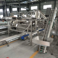 Industriële automatische ananasjamlijn met hoge capaciteit, machine voor de verwerking van ananaspuree en -sap, voedselsterilisator