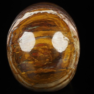 Cráneos de Madera Petrificada Pulidos al Estilo Bohemio al por Mayor para Decoración del Hogar Única y Regalos Navideños - Product Image 5