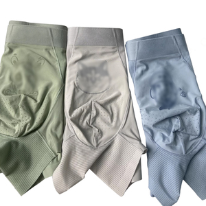 Vente en gros de sous-vêtements pour hommes en soie glacée de haute qualité slip en nylon à séchage rapide sans couture caleçons et boxeurs pour hommes - Product Image 4