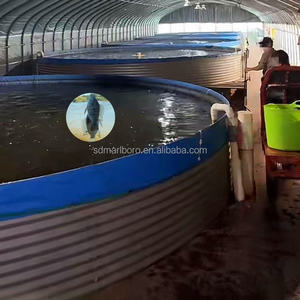 Bacs d'élevage de poissons en aquaculture, équipements commerciaux d'élevage de poissons, bassins d'élevage de poissons et de crevettes, bassins d'élevage hors sol - Product Image 6
