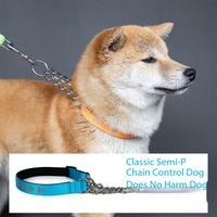 Nouveau collier anti-étranglement pour chiens, design empreinte de patte, en acier inoxydable, demi-chaîne en P, collier anti-perte pour animaux de compagnie