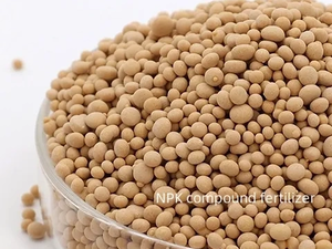 Fertilizante Compuesto de Liberación Lenta Tianda NPK15-5-20 con 60% de Pureza <span class=keywords><strong>para</strong></span> el Crecimiento de Cítricos, Uvas y Tomates, Origen Shandong - Product Image 2