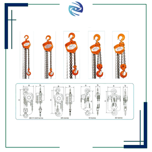 Grosir rantai tangan jenis <span class=keywords><strong>Hoist</strong></span> 3m 6m10m satu ton tiga Ton penarik rantai Manual katrol 2 ton Toyo rantai <span class=keywords><strong>Hoist</strong></span> Lift - Product Image 2