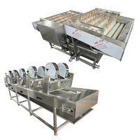 Laveuse industrielle de légumes VBJX à rouleaux, machine de nettoyage de carottes, gingembre et patates douces pour l'agriculture