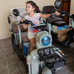 Vente en gros de tricycles électriques pour adultes <span class=keywords><strong>à</strong></span> 3 roues de 600W pour passagers et marchandises pousse-pousse automatique <span class=keywords><strong>à</strong></span> trois roues avec cabine - Product Image 3