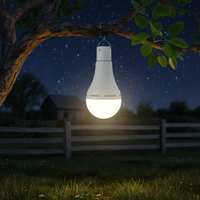 Ampoule Solaire LED 7W pour Entrepôt, Télécommande, Minuterie, Lumière du Jour 6000K, IP20, pour Camping, Pêche, Éclairage d'Urgence Simple