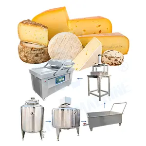 Ligne de production de machine à étirer les moules à mozzarella pour le fromage Ensemble complet de machine à presser le fromage de chèvre