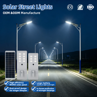 Lampadaire Solaire Tout-en-un en Aluminium Moulé Sous Pression 80W 100W LiFePO4 MPPT LED Étanche IP65 pour Routes Urbaines, Autoroutes, Places Publiques et Collectivités
