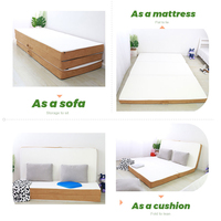 Matelas Offre Spéciale queen gonflable imperméable et personnalisé et matelas de compression de conception antidérapante pour le salon et la chambre
