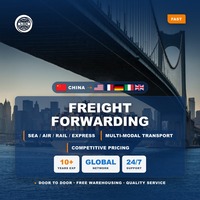 Agent de transit professionnel LCL FCL, transbordement de conteneurs de Shenzhen vers l'Égypte, la Turquie, le Chili, la France, l'Allemagne, l'Australie, le Kenya