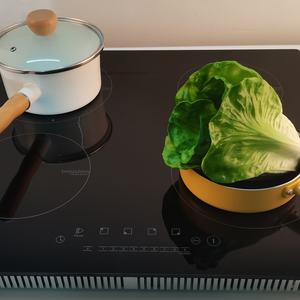 Cocina de Inducción de Cuatro Quemadores con Carcasa Metálica, Alemania - Product Image 1