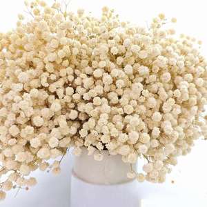 500g Fiori Secchi Naturali Gypsophila Preservata Bouquet all'Ingrosso Personalizzabile per Decorazioni Ufficio Feste Ghirlande - Product Image 1